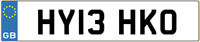 Trailer License Plate
